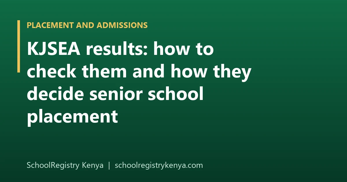 A parent in Kenya checking KJSEA results on a phone